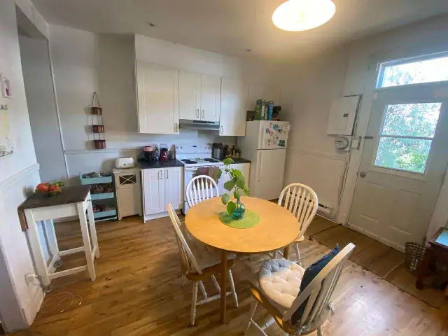 Grand 4-1/2, rénové ensoleillé Plateau rue Messier et Marie-Anne - Photo 4