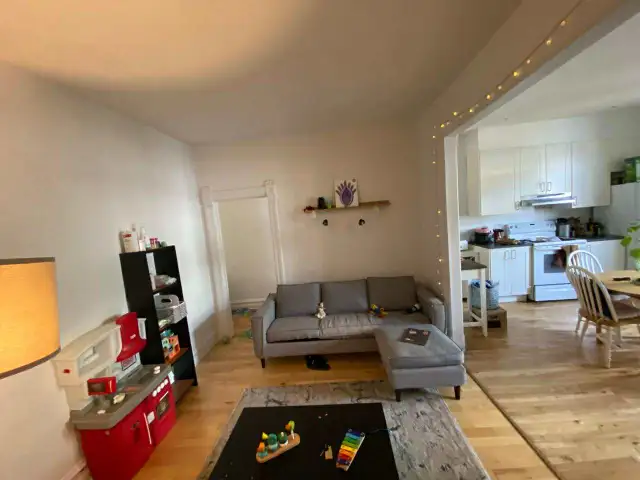 Grand 4-1/2, rénové ensoleillé Plateau rue Messier et Marie-Anne - Photo 5