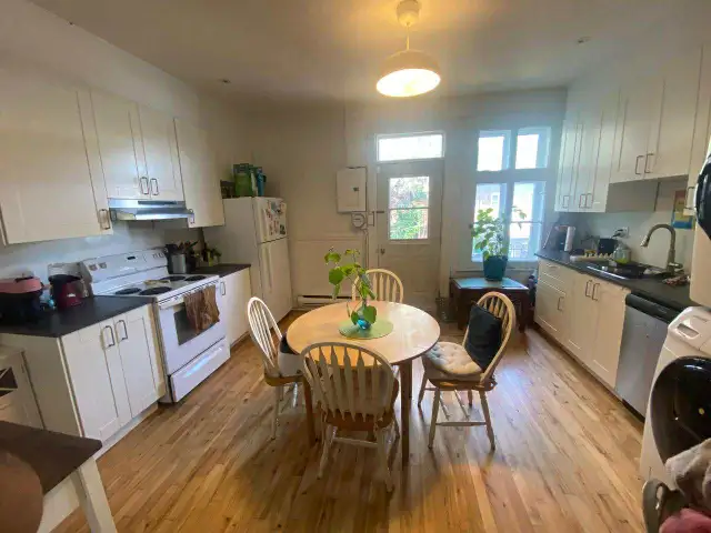 Grand 4-1/2, rénové ensoleillé Plateau rue Messier et Marie-Anne - Photo 9