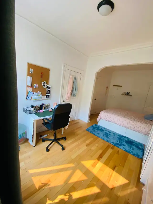 Grand 4-1/2, rénové ensoleillé Plateau rue Messier et Marie-Anne - Photo 10