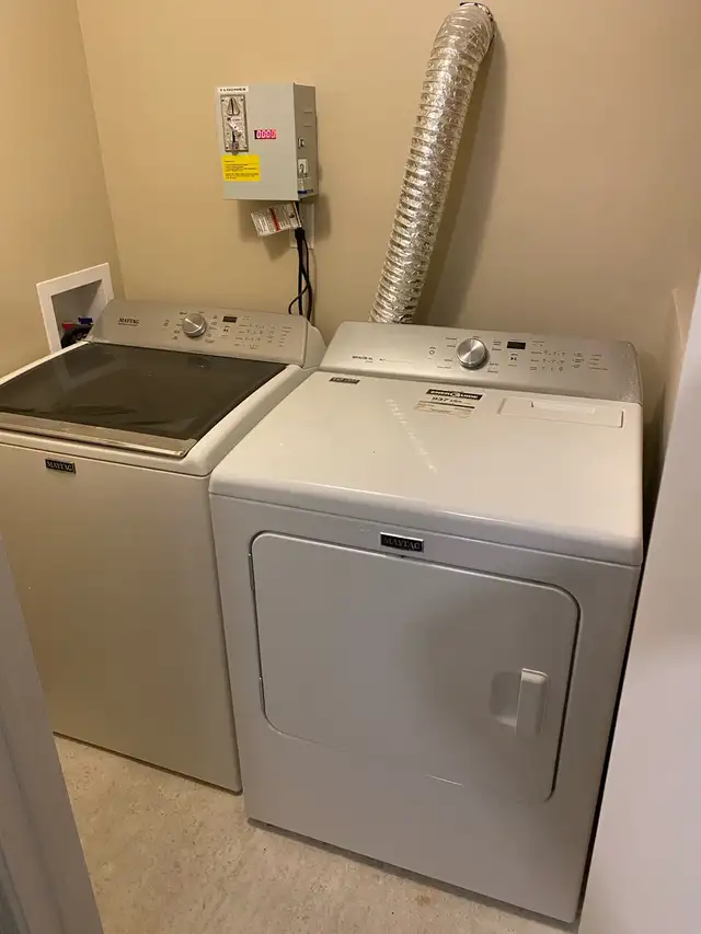 All-inclusive, 3 bedroom, excellent location in Old North! - Photo 8