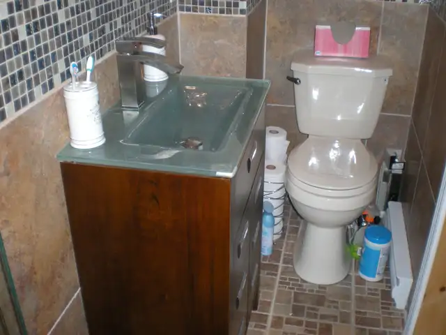 APPARTEMENT - STYLE LOFT - 1er JUILLET OU AVANT - ROSEMONT - Photo 8