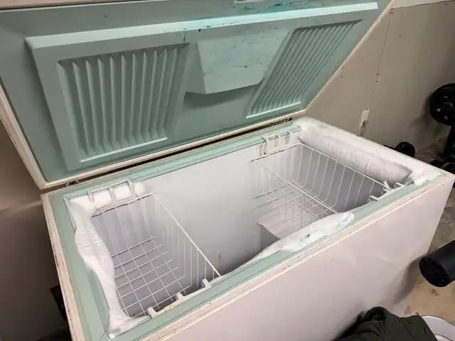 deep freeze - Photo 2