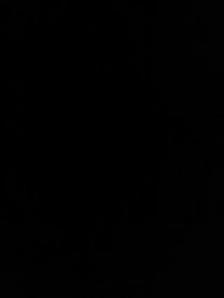 Looking for Truck Diver with Class 1 experience