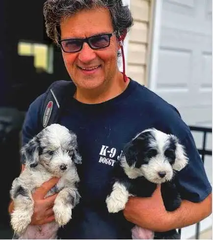 K9 Dog Training In Your Home One on One Professional Training - Photo 2