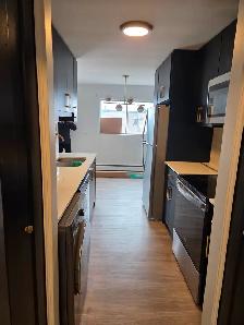 2-Bedroom Apartment for Rent in Kitchener! - Photo 2