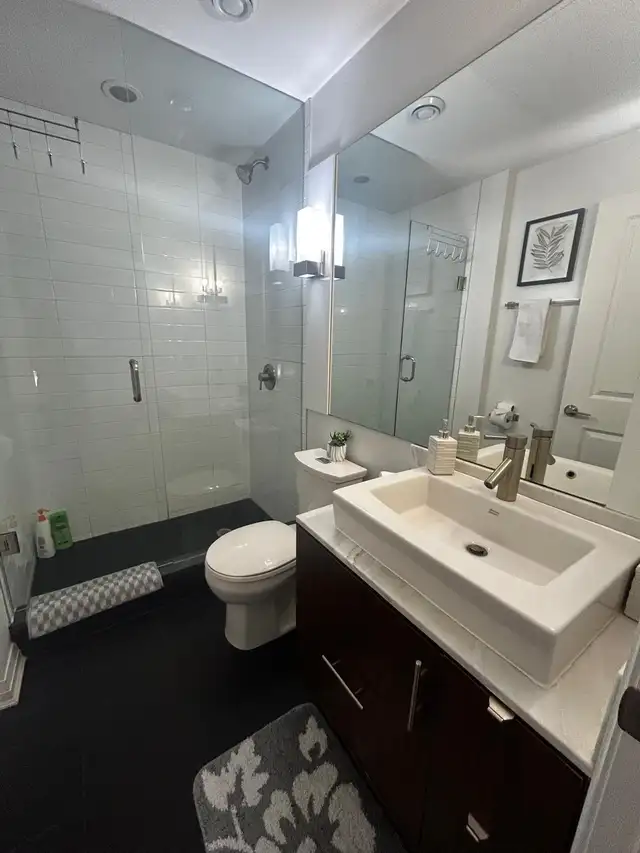 New furnished 2BD 2BA condo downtown Toronto / September 1st - Photo 9