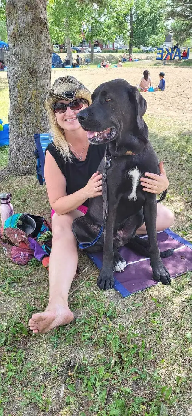 PROFESSIONAL DOG TRAINER/PRIVATE TRAINING/BOARD&TRAIN - Photo 4