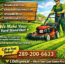 LD lawn care