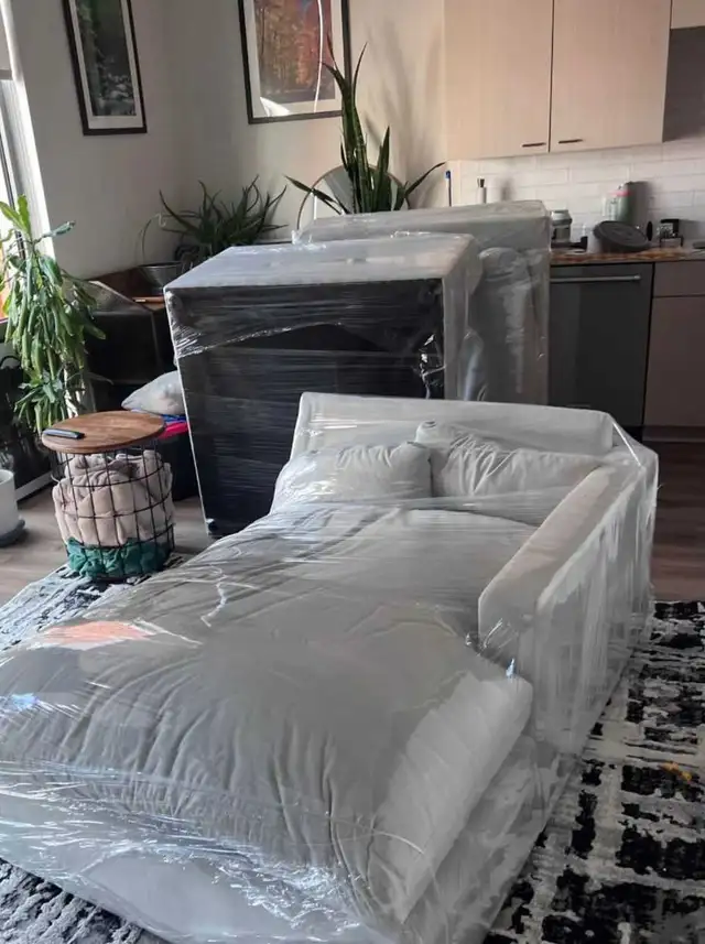 Professional Movers Moving & Packing Reliable Movers Relocation