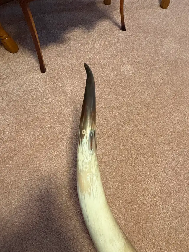 Unique home decor items - Photo 4