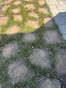 pierre naturelle patio dalle