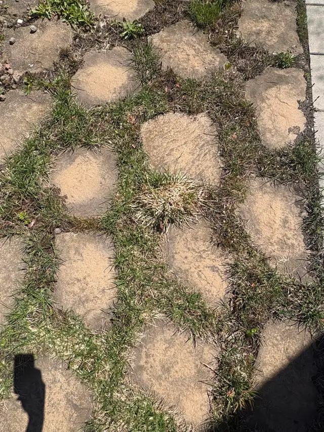 pierre naturelle patio dalle - Photo 2