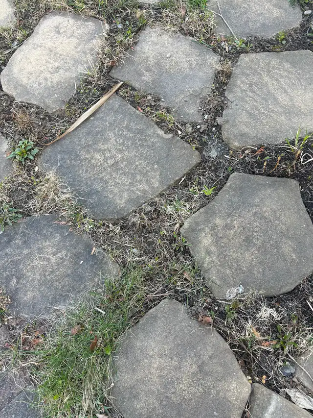 pierre naturelle patio dalle - Photo 3