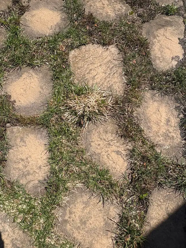 pierre naturelle patio dalle - Photo 4