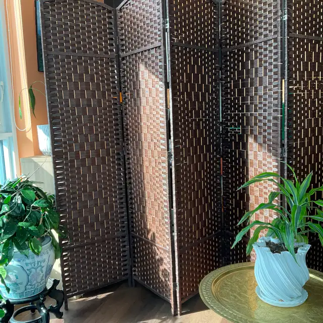Rattan Screen