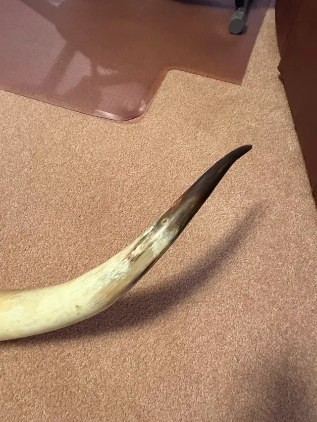 Outdoorsmen or country classic items - Photo 3