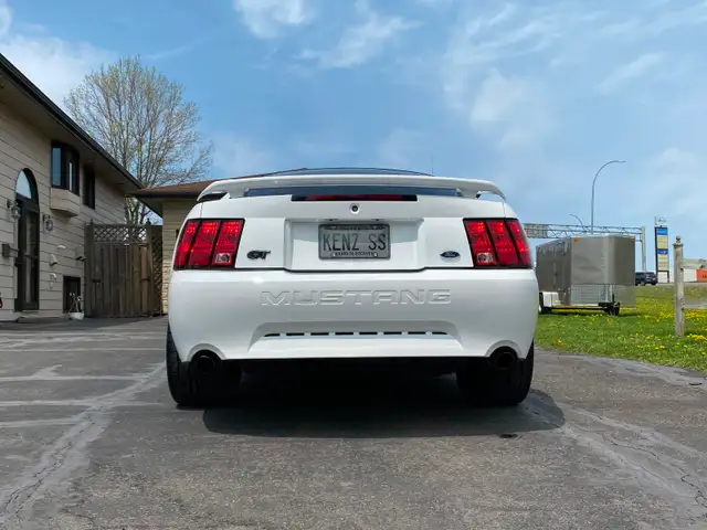 2004 Mustang Gt 40th Anniversary Edition
