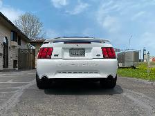 2004 Mustang Gt 40th Anniversary Edition