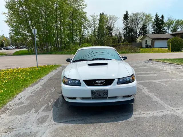 2004 Mustang Gt 40th Anniversary Edition - Photo 2