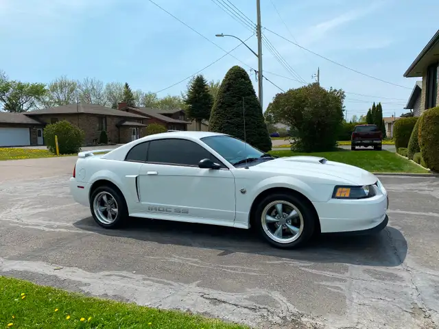 2004 Mustang Gt 40th Anniversary Edition - Photo 4