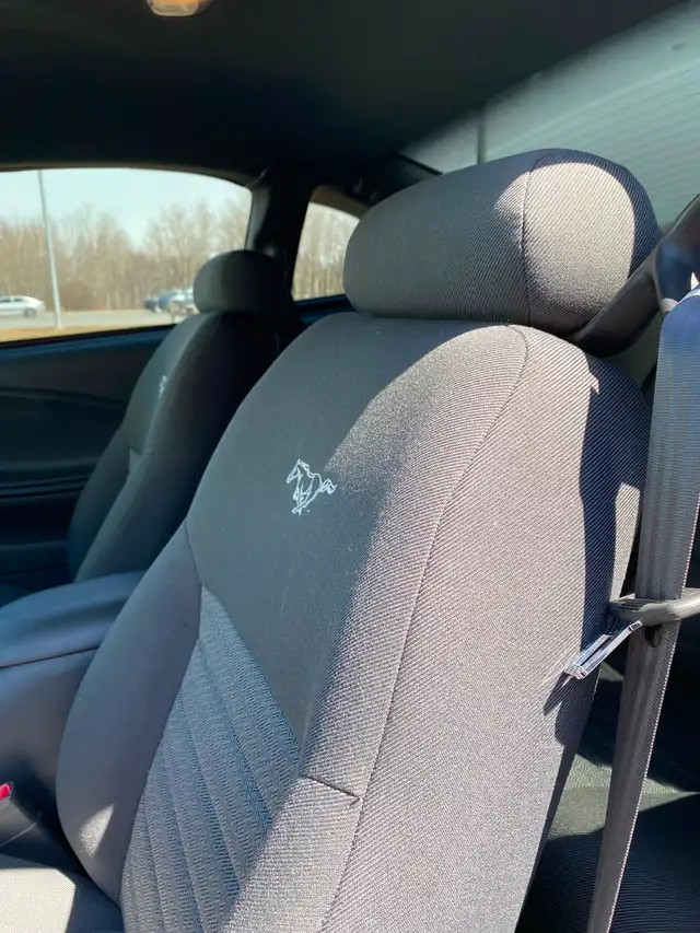 2004 Mustang Gt 40th Anniversary Edition - Photo 6