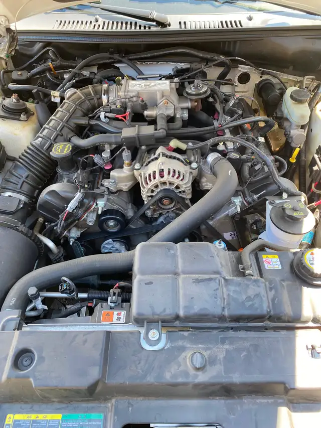 2004 Mustang Gt 40th Anniversary Edition - Photo 8