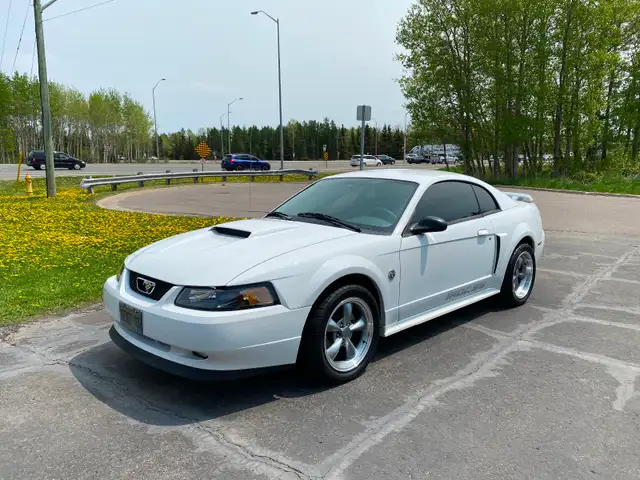 2004 Mustang Gt 40th Anniversary Edition - Photo 10