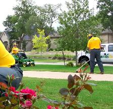 Landscaping Services LOWEST PRICES !