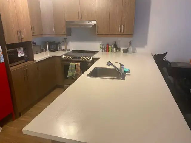 Grand 4 1/2 Brossard Disponible à partir du 1er mai - Photo 3