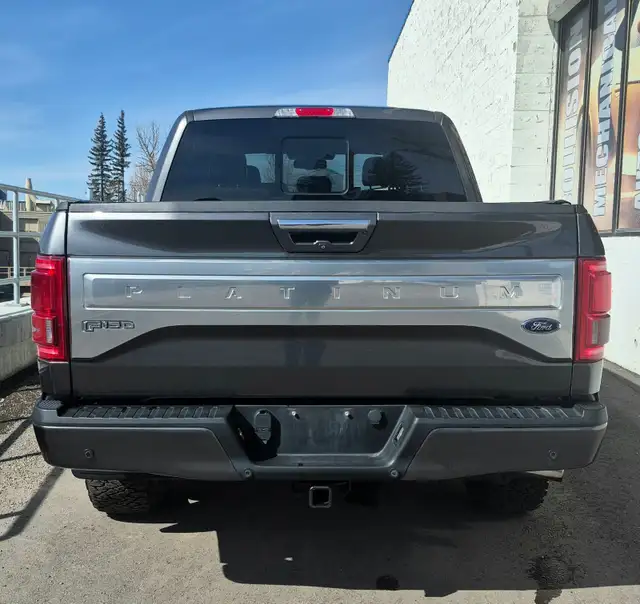 2015 Ford F150 Supercrew Platinum - Photo 4