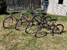 4 family bikes