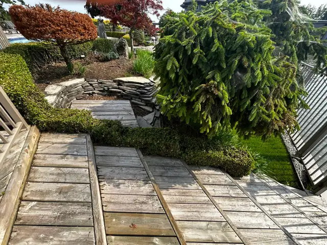 Mahalo Landscaping - Photo 4