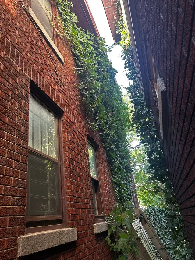 Mahalo Landscaping - Photo 6