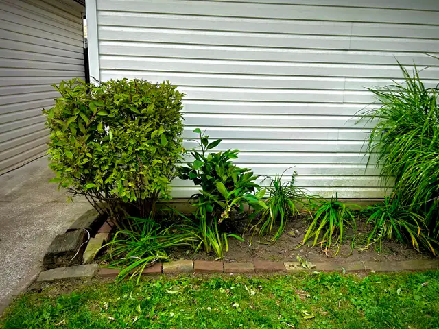 Mahalo Landscaping - Photo 9