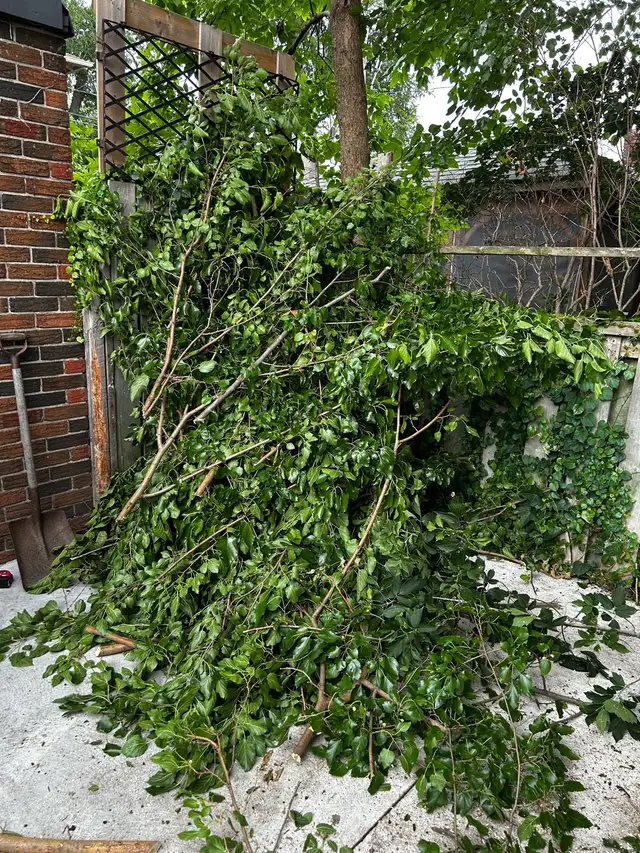 Mahalo Landscaping - Photo 10