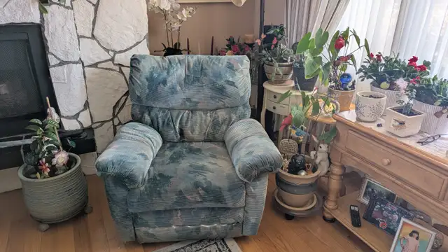 living room furniture - Photo 4