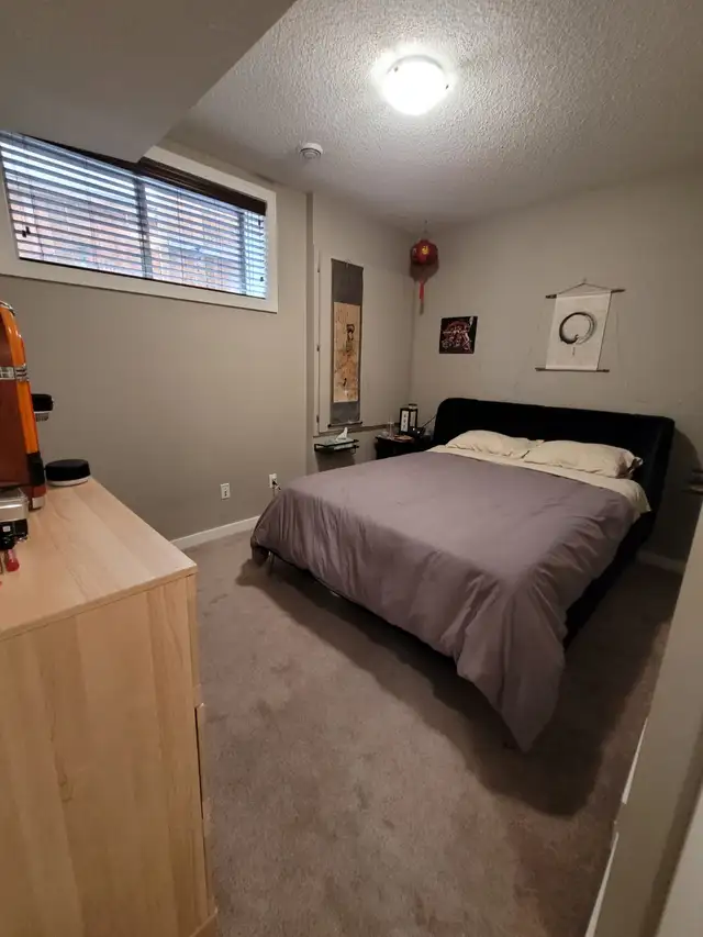 Bright and sunny 2 bedroom walkout basement suite avail June 1st - Photo 4