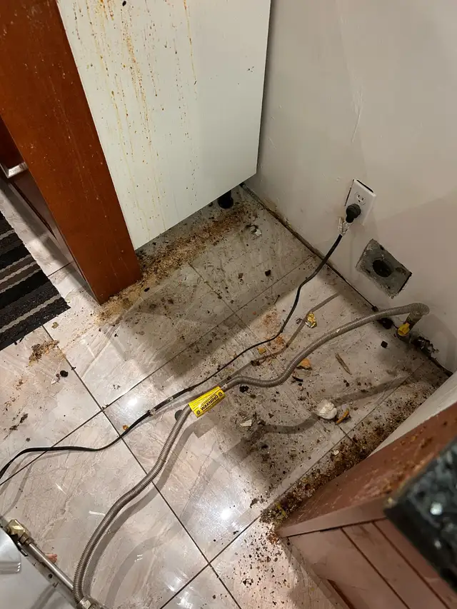 Commercial and residential cleaning - Photo 6