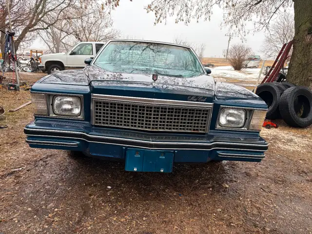 Classic 1979 Monte Carlo