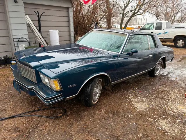 Classic 1979 Monte Carlo - Photo 2