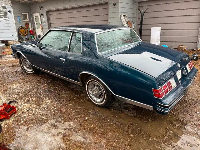Classic 1979 Monte Carlo - Photo 3