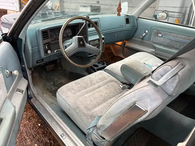 Classic 1979 Monte Carlo - Photo 4