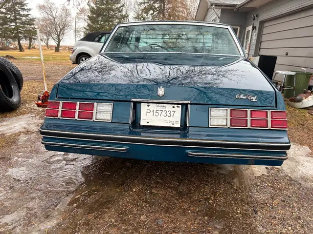 Classic 1979 Monte Carlo - Photo 6