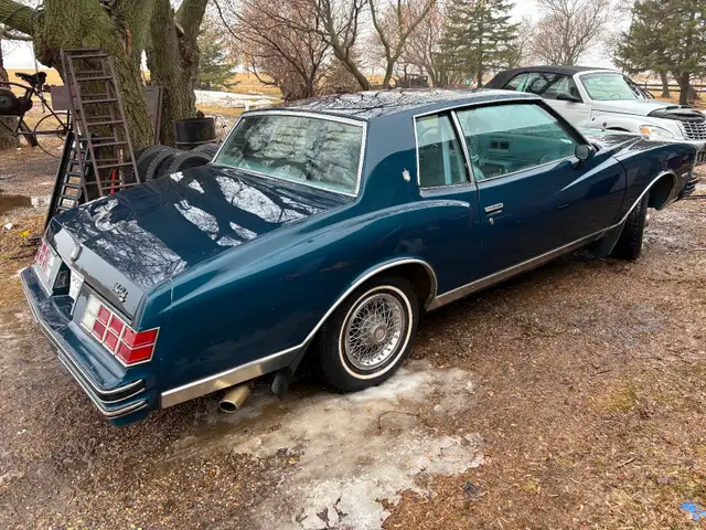 Classic 1979 Monte Carlo - Photo 7