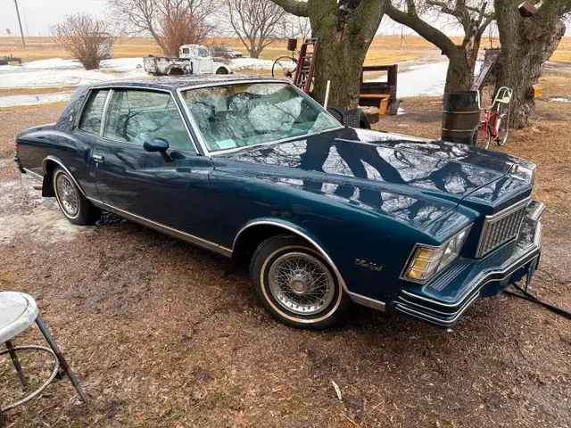 Classic 1979 Monte Carlo - Photo 8