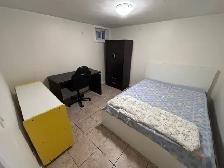 ️ THE ULTIMATE KENSINGTON STUDENT HUB