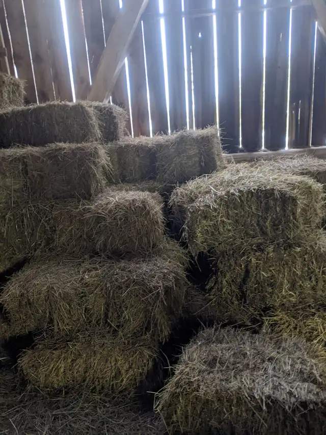 Hay for sale