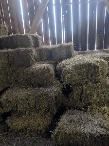 Hay for sale