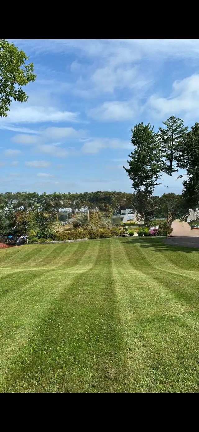 Lawn mowing services